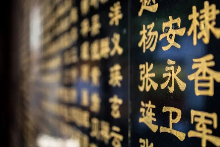 Product Update: New Languages, User Tags, and Privacy Options