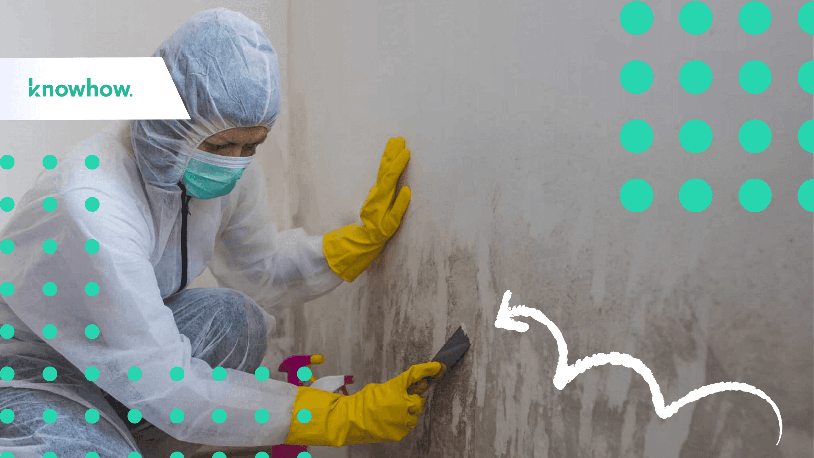 The 7 Best Mold Remediation Templates to Ensure Safe, Compliant, and Effective Cleanup